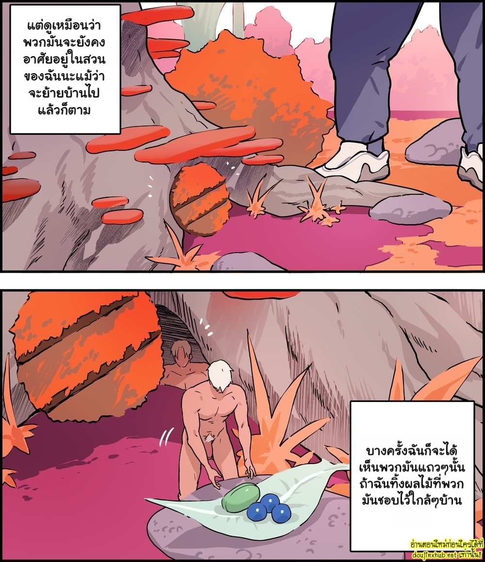 ผู้สังเกตการณ์-10